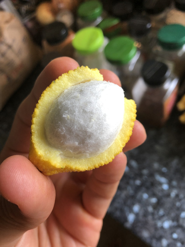 08819466-94E2-4BE5-BE07-71CFB7A2DB95