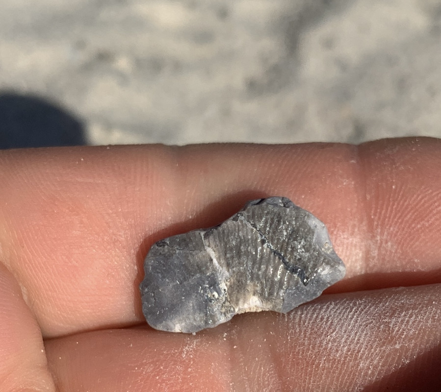 F91944A4-5762-45B8-8247-28E38553A5A0