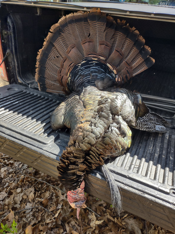 IMG_20230507_095352181_HDR