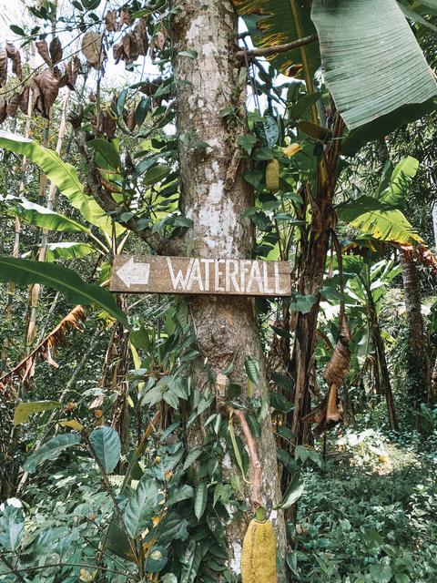 Bali (Ubud) - Singapur e Indonesia 2018 (12)