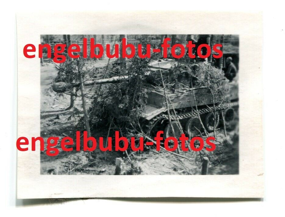 FOTO - PANZER - TIGER - Panzer VI Baltzerweg  Newa (2)