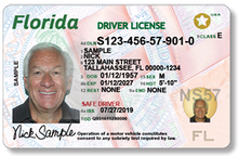 220px-Florida-Driver-License.png
