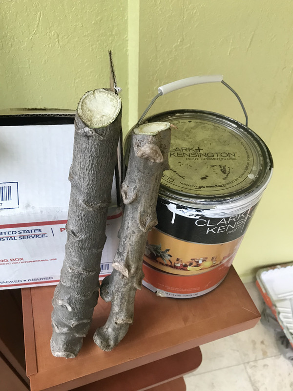 AC9F4300-8385-4FB6-808A-621B6A254E7B