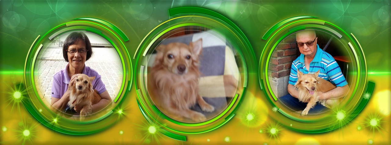 Image and video hosting by TinyPic