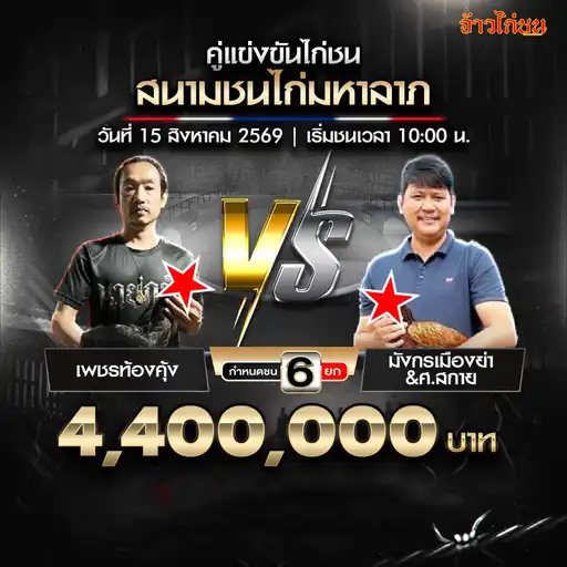 เพชรท้องคุ้ง พบ มังกรเมืองย่าและศ.สกาย สนามชนไก่มหาลาภ 15 สิงหาคม 2569