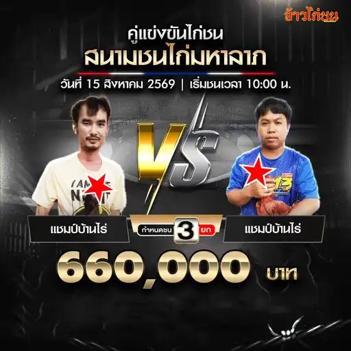 แชมป์บ้านไร่ พบ เด็กปั๊ม สนามชนไก่มหาลาภ 15 สิงหาคม 2569