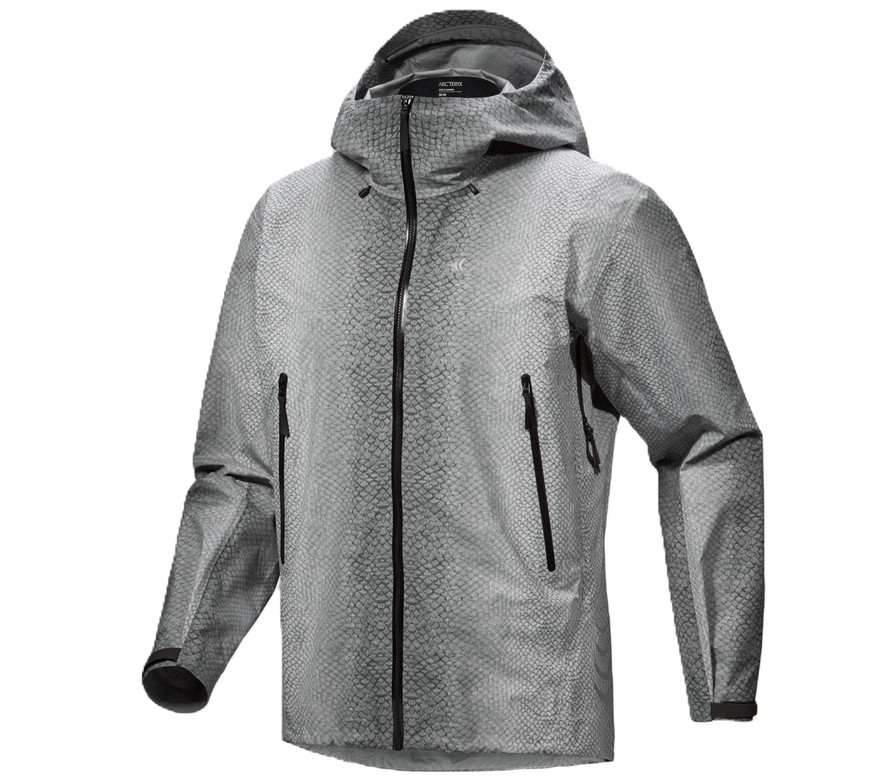 Arcteryx Beta SL (Walk Gently)