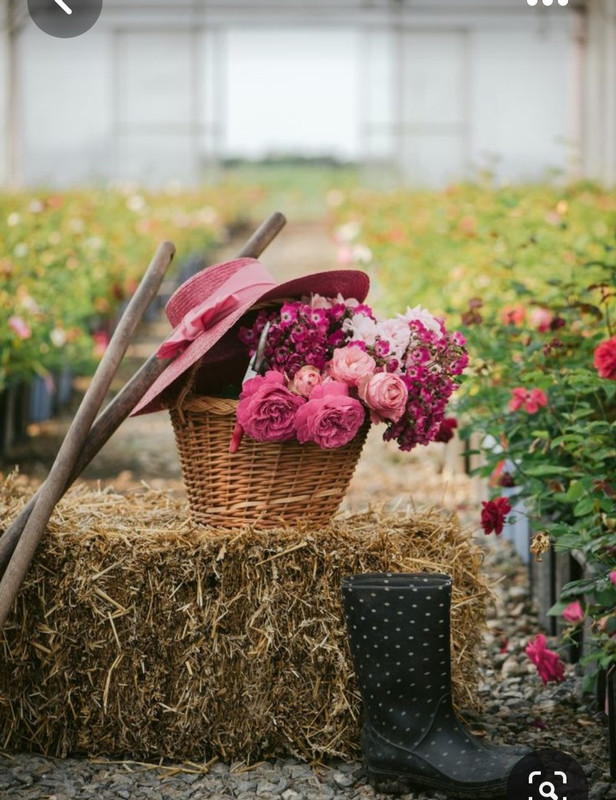 Screenshot_20230508_230302_Pinterest