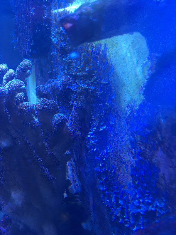 CEF180CD-0629-43FA-B38A-EF0638F6AE84