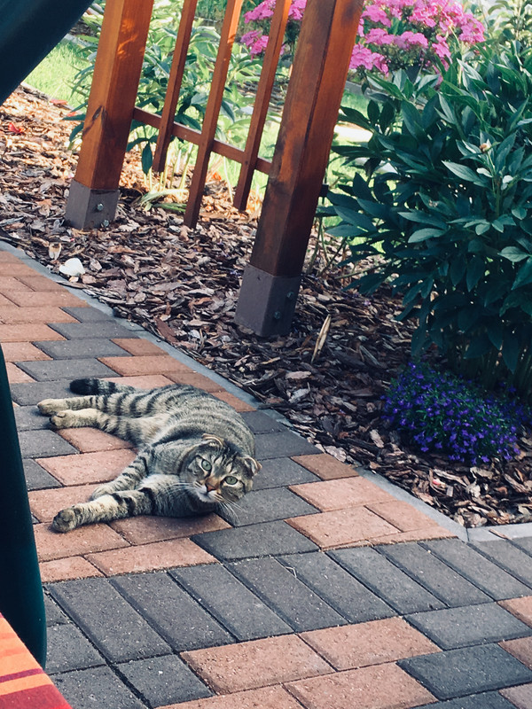 BDC1CA61-3A62-4C9C-BF6B-C5D61467441C