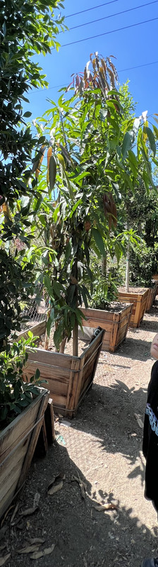 8CA75C9A-5019-4DCE-8361-C0F1632EE86D