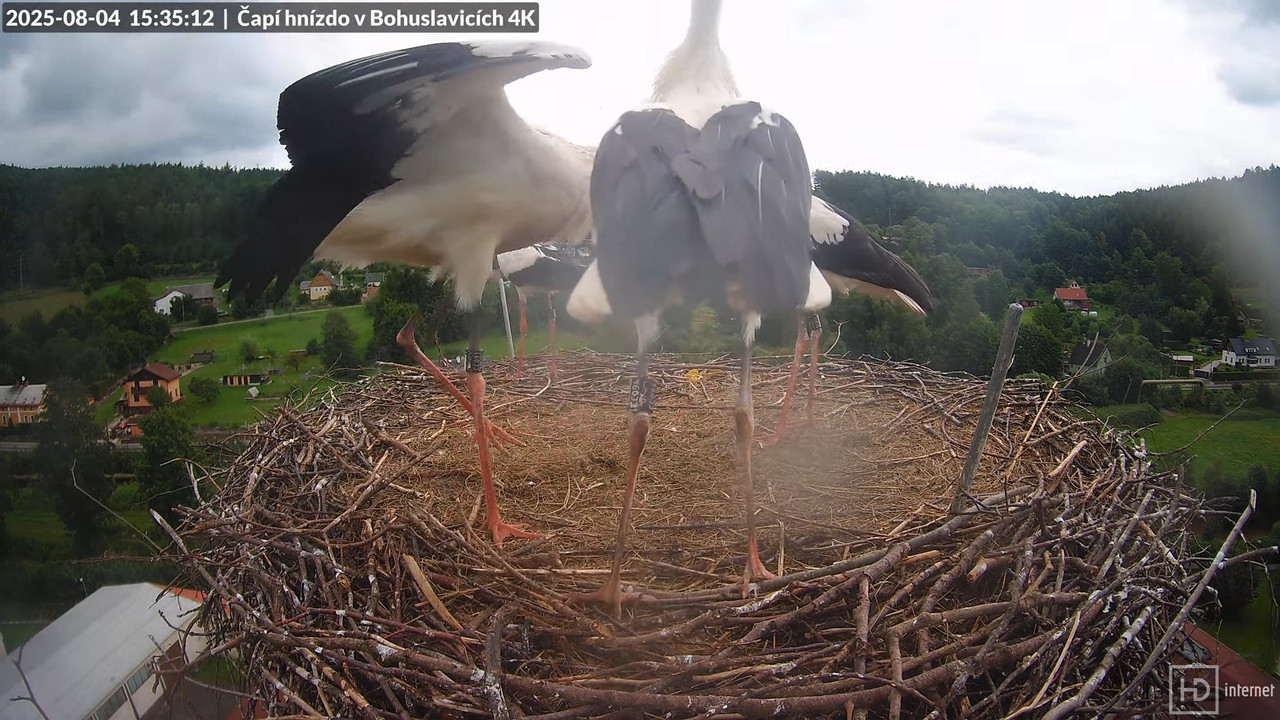 Tiešraide no KARA uzņēmuma stārķu skursteņa Bohuslavicē netālu no Trutnovas 14-47-59 screenshot