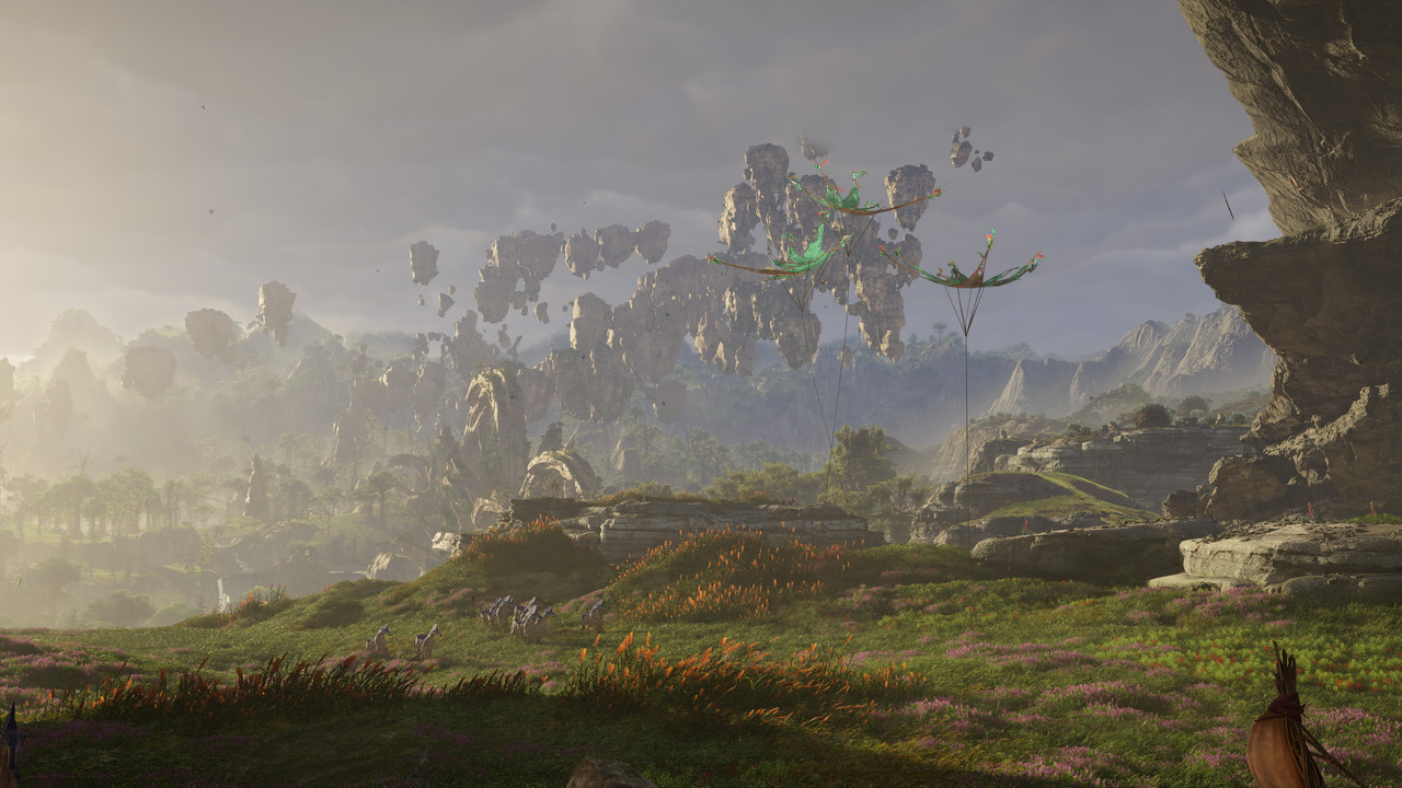 afop 2026 01 10 07 31 35 412