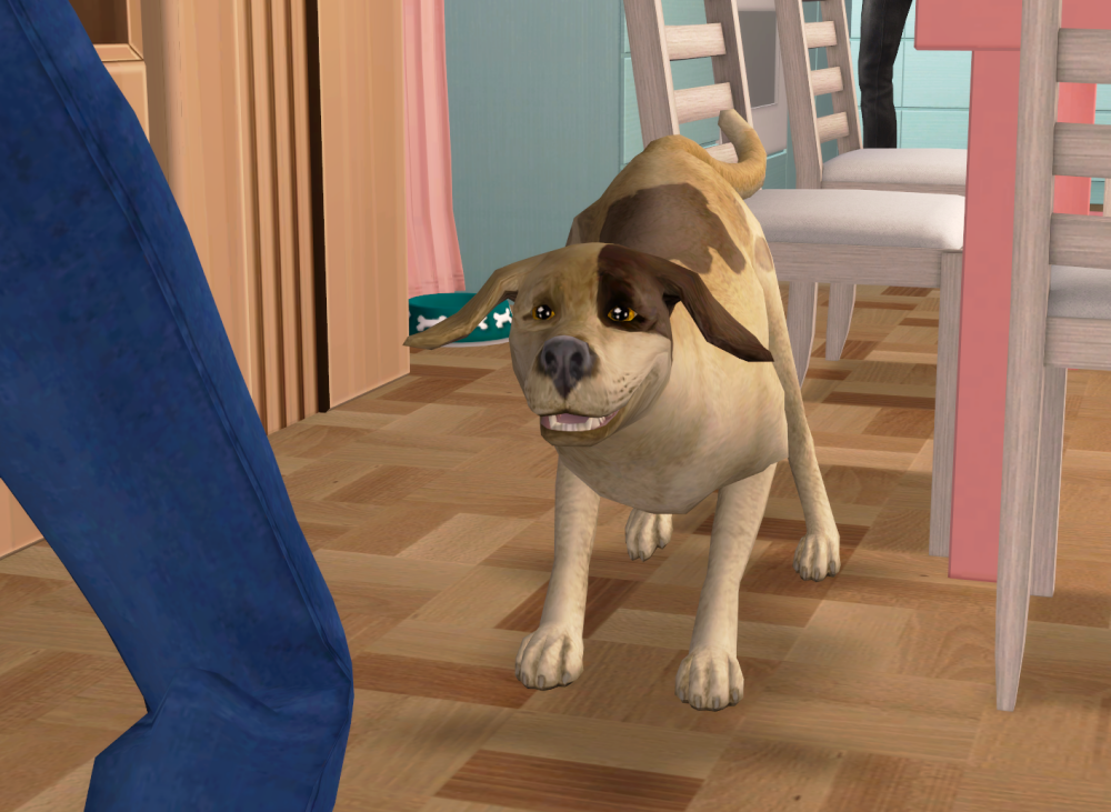 Sims2-EP9-RPC-2022-07-13-20-02-26-19