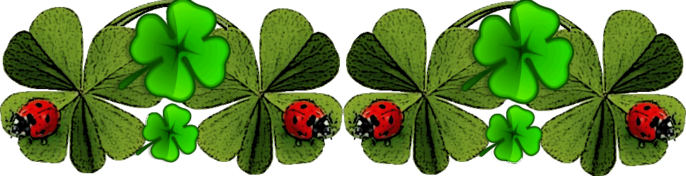 ber5