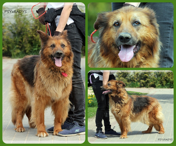 BeFunky-collage (17)