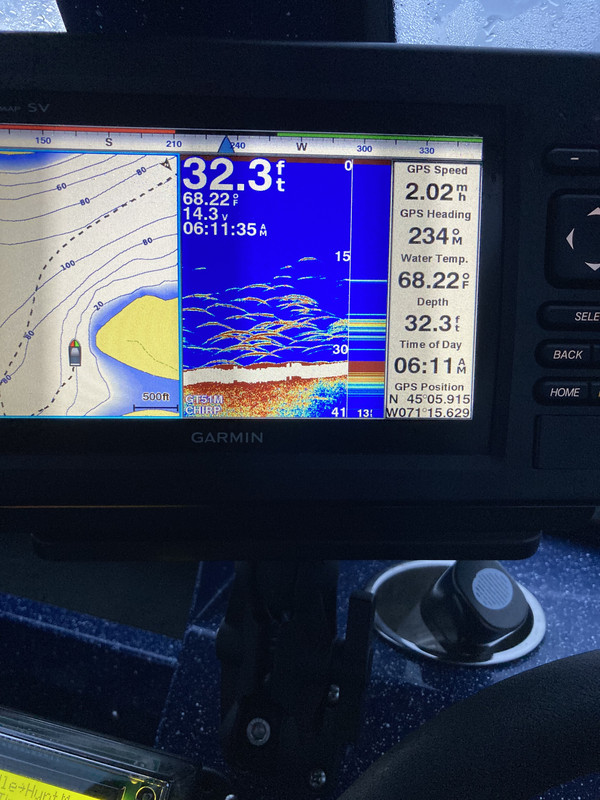 BF17310D-846E-44C9-9B5E-AF6CA7D952CD