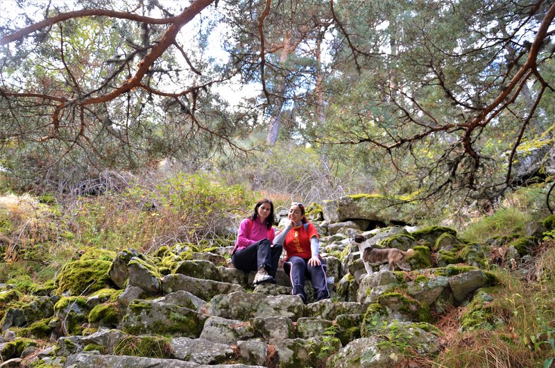 EL CHORRO DE NAVAFRIA-23-10-2013-SEGOVIA - Paseando por España-1991/2016 (53)