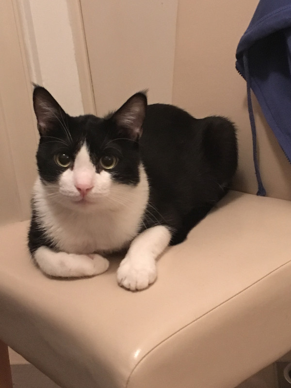 B8007306-E93E-4737-967F-01F75D7B1A35