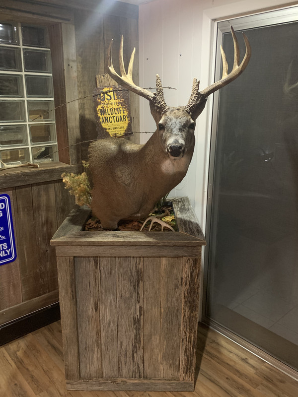 EB1ACAA0-4DF4-4D31-9B86-018BCB6FEB44