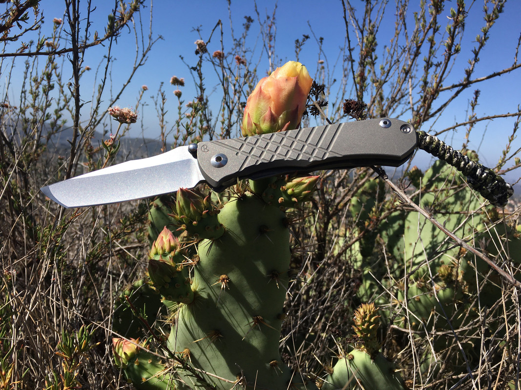 FF92E8AD-7446-4AA7-AAD1-A6378E618428