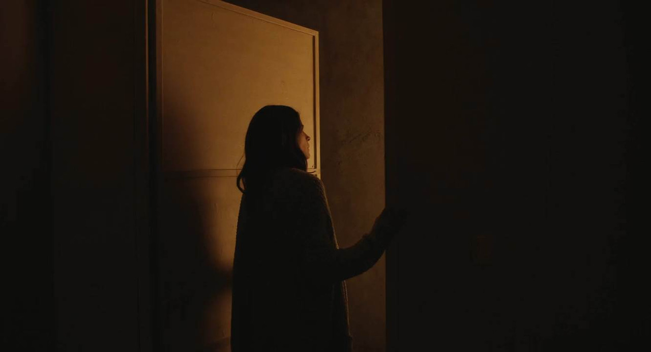 The Diary 2024 WebRip [Hindi + English] 480p, 720p ESub Screenshot