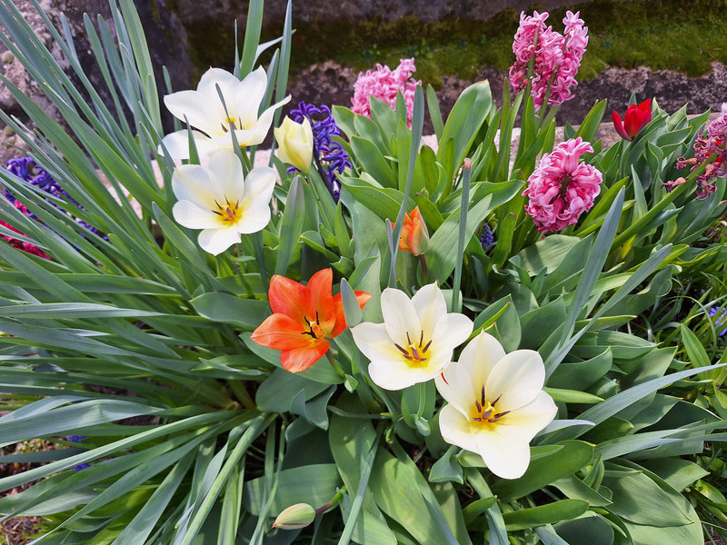 [Image: 20240322-122736.jpg]