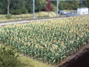 2025S CFL Nordsreck 93 3