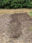 363749116_1271390007077920_1177762978276554733_n