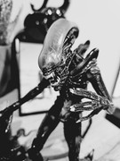 [Obrazek: 20241025-181108.jpg]