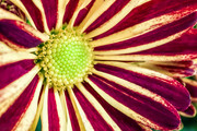 IMG-20190420-092138-2