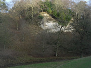 SDC12895