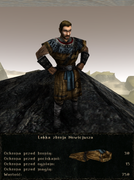 pancerze i ubrania (29)