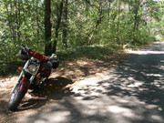 20250828-110931.jpg