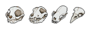 skull-bundle-1-by-ao-no-lupus-db4qxet-fullview