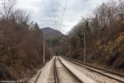 IMG-2221
