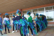 IMG-0399
