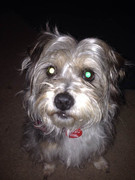 19731944_1706053776367014_4949790517018689807_n