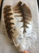 58499303512-7029D4AD-1491-4C53-8A6D-5EE8FD51F354