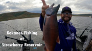 [Image: Kokanee-Fishing-at-Strawberry-Reservoir-Thumbnail.jpg]