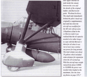 SD-Side-view_Mushroom