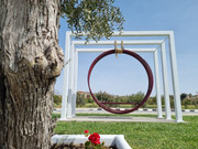 175412853-1724547264395828-4339175492952827311-n