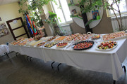 IMG-1564