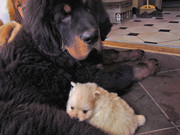 IMG-3569-1.jpg