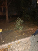 IMG_20201028_213256_064