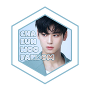 badge03chaeunwoofandom