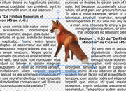 [Image: renard-3.png]