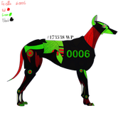 0006 - Hyacinth - #193898