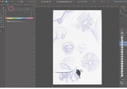 [Image: affinity-designer.jpg]