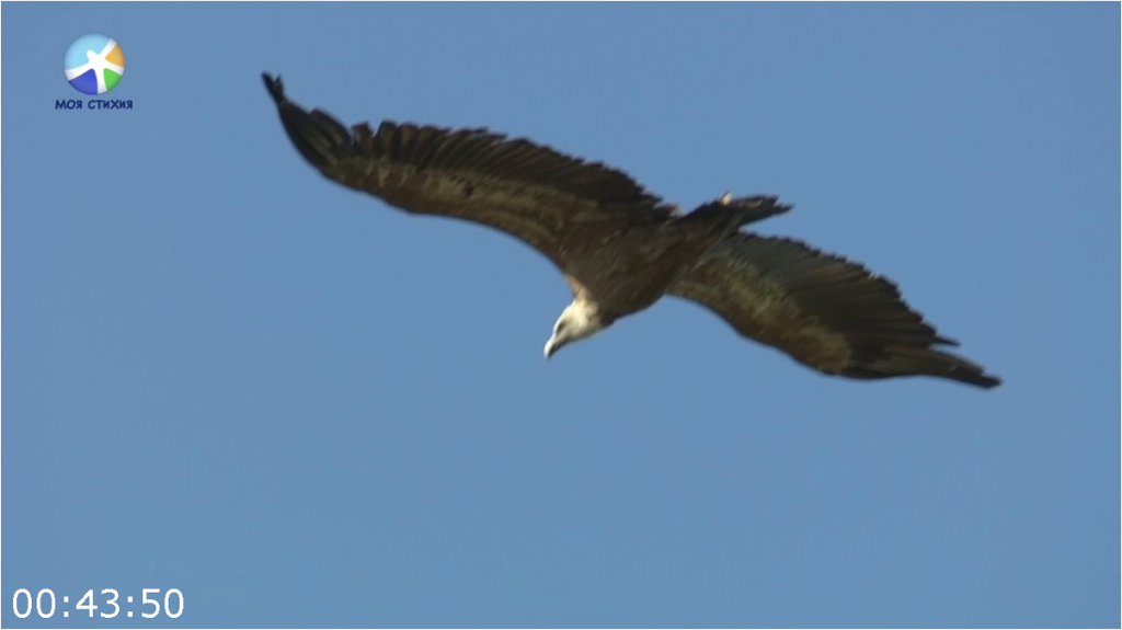 [Image: 1aeq31jf0msa.png]